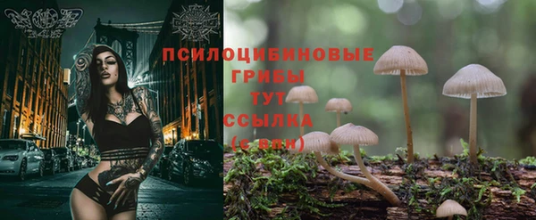 Альфа ПВП Остров